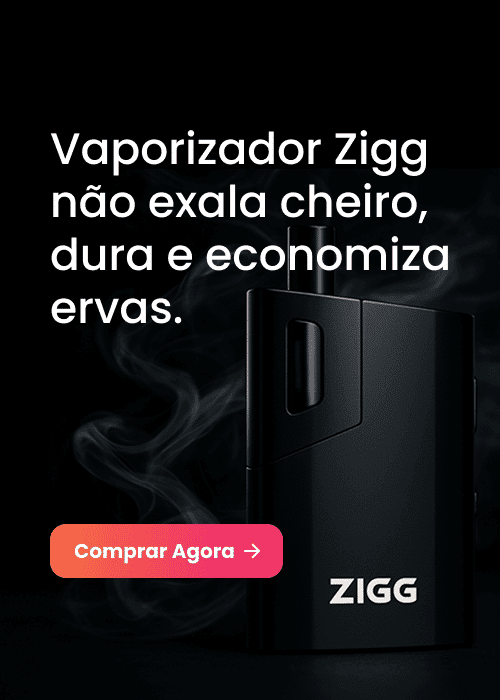 vaporizador de ervas zigg kingvapo
