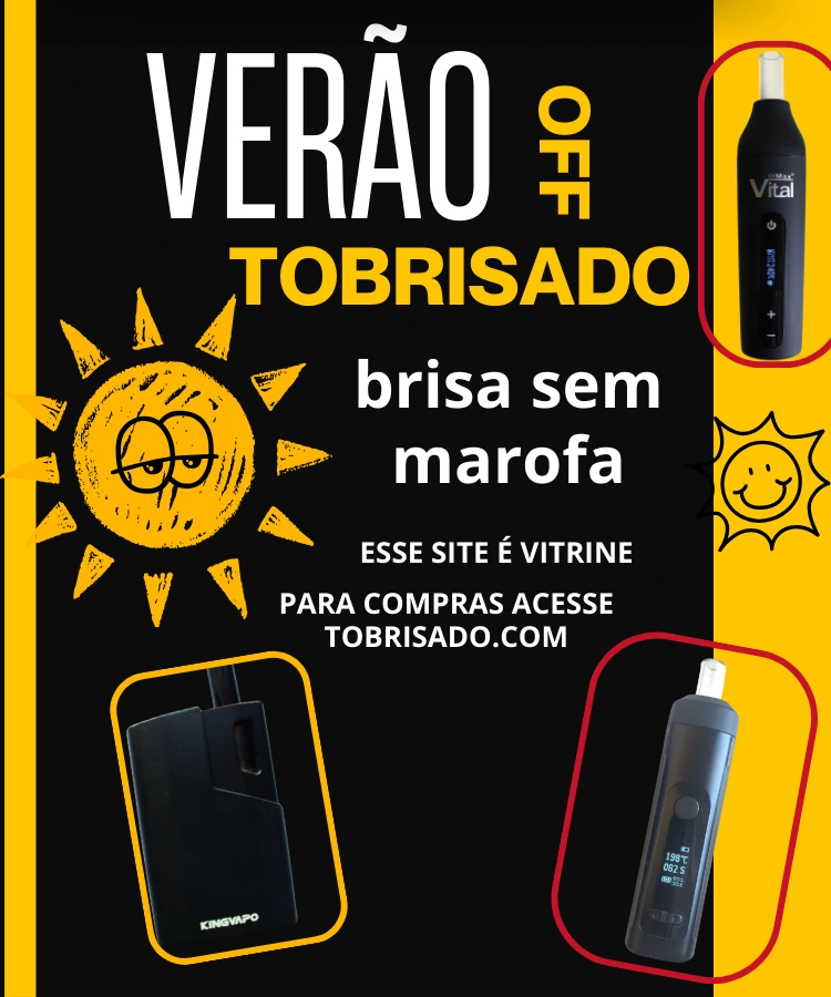 VAPORIZADOR DE ERVAS
